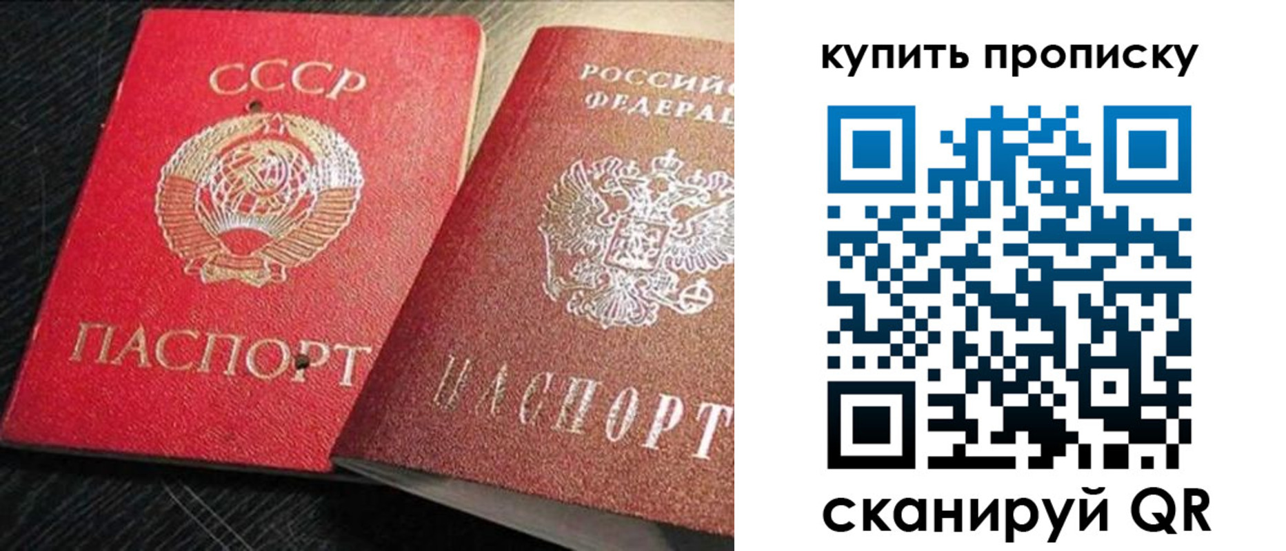 временная регистрация гарантия в Дубне
